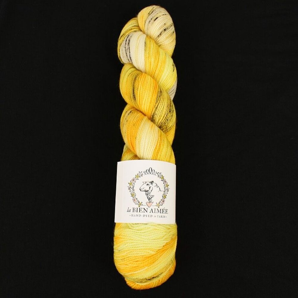 La Bien Aimée Bouncy Merino Yarn Hand-Dyed Merino Nylon Colorway Gyeran Bap